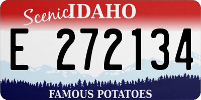 ID license plate E272134