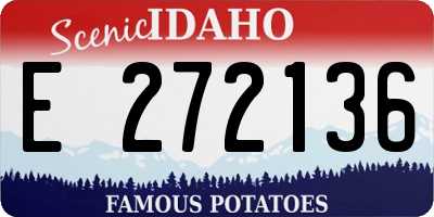 ID license plate E272136