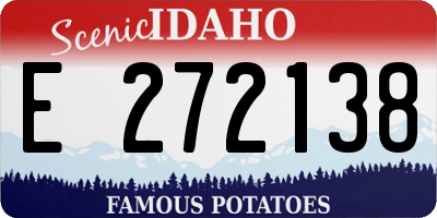 ID license plate E272138