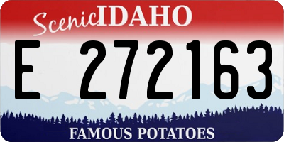ID license plate E272163