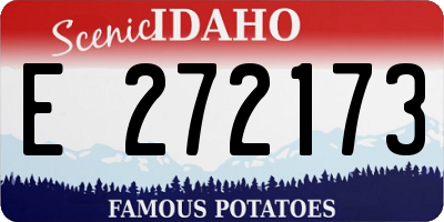 ID license plate E272173