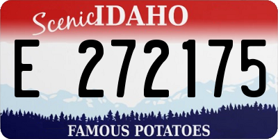 ID license plate E272175