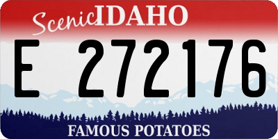 ID license plate E272176