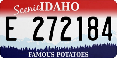 ID license plate E272184
