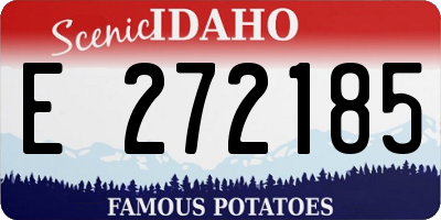 ID license plate E272185