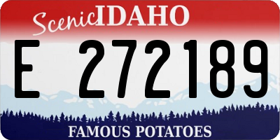 ID license plate E272189