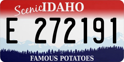 ID license plate E272191