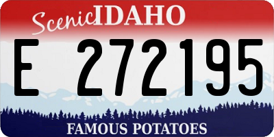 ID license plate E272195