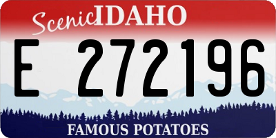 ID license plate E272196