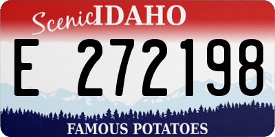 ID license plate E272198
