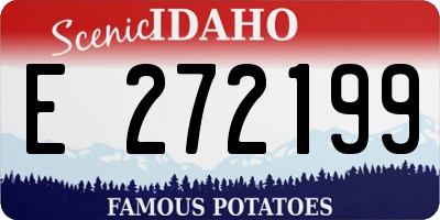 ID license plate E272199