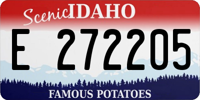 ID license plate E272205