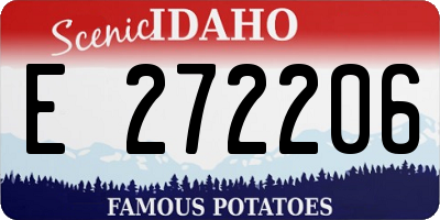 ID license plate E272206