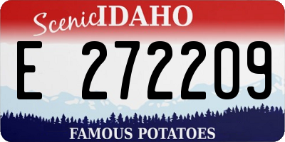 ID license plate E272209