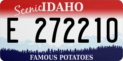 ID license plate E272210