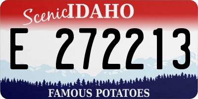 ID license plate E272213