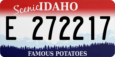 ID license plate E272217