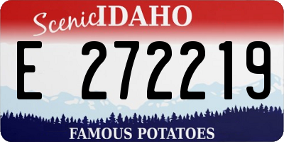 ID license plate E272219