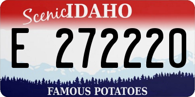 ID license plate E272220