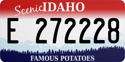 ID license plate E272228