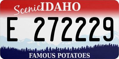 ID license plate E272229
