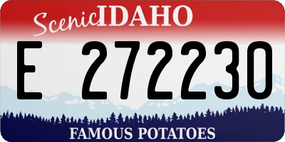 ID license plate E272230