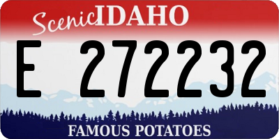 ID license plate E272232