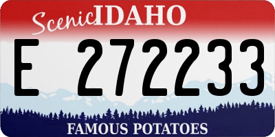 ID license plate E272233