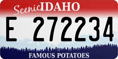 ID license plate E272234