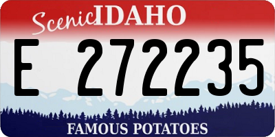 ID license plate E272235