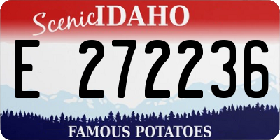 ID license plate E272236