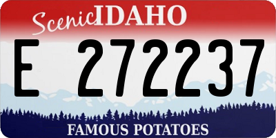 ID license plate E272237