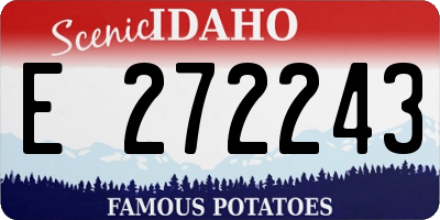 ID license plate E272243