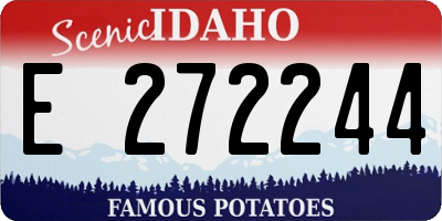 ID license plate E272244