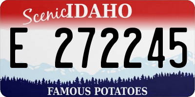 ID license plate E272245