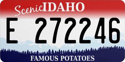 ID license plate E272246