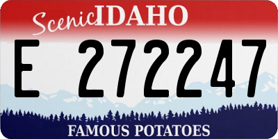 ID license plate E272247