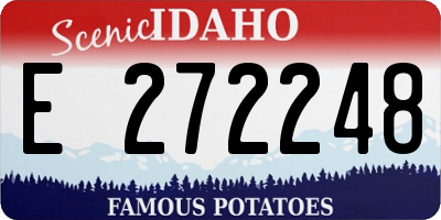ID license plate E272248