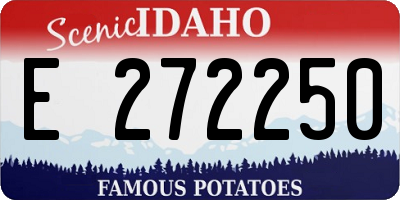 ID license plate E272250
