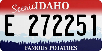 ID license plate E272251