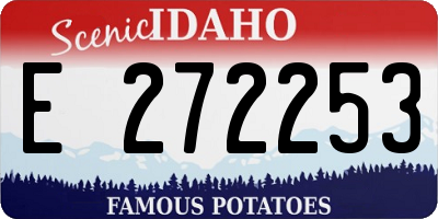 ID license plate E272253