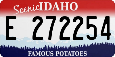 ID license plate E272254