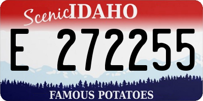 ID license plate E272255