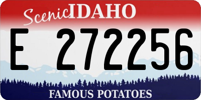 ID license plate E272256
