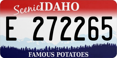 ID license plate E272265