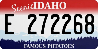 ID license plate E272268