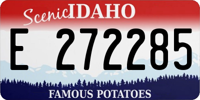 ID license plate E272285