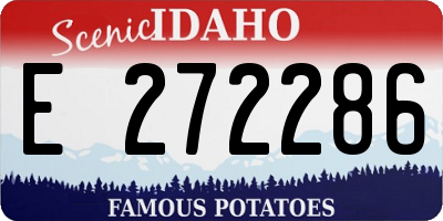 ID license plate E272286