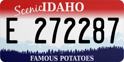 ID license plate E272287