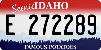 ID license plate E272289